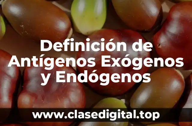 Definición de Antígenos Exógenos y Endógenos