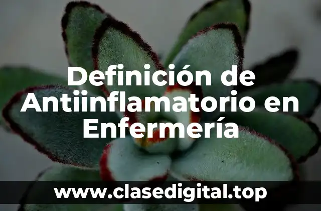 Definición técnica de Antiinflamatorio
