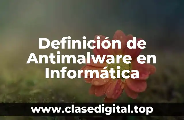 Definición técnica de Antimalware