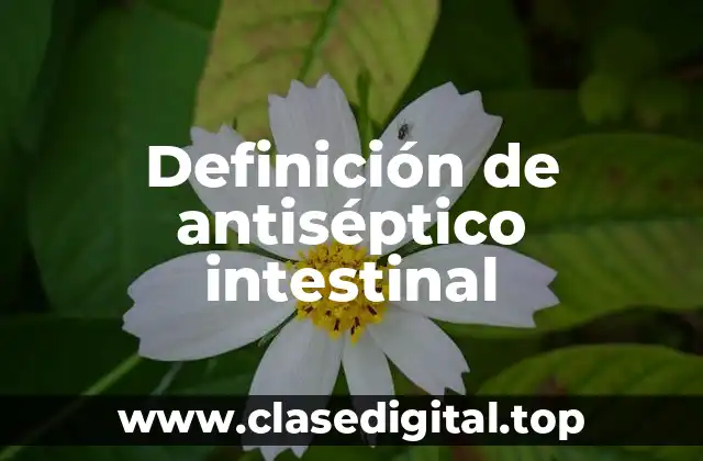 Definición de antiséptico intestinal