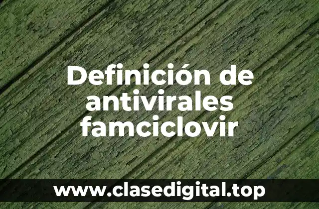 Definición de antivirales famciclovir