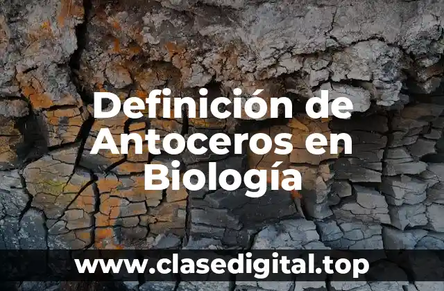 Definición de Antoceros en Biología