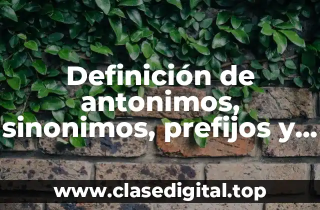 Definición de antonimos, sinonimos, prefijos y apocopes