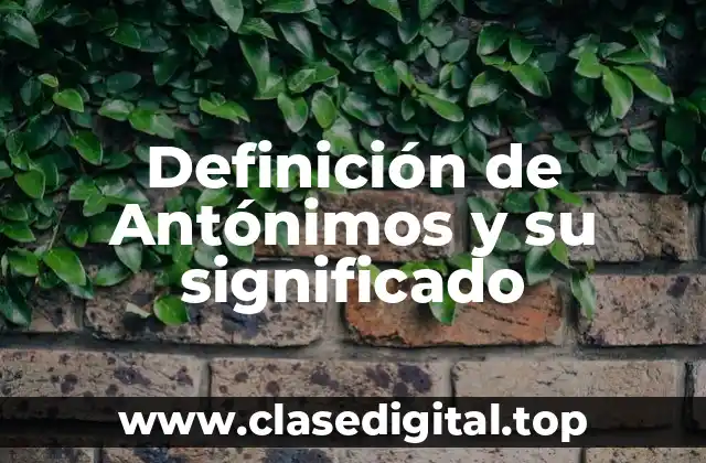 Definición de Antónimos y su significado