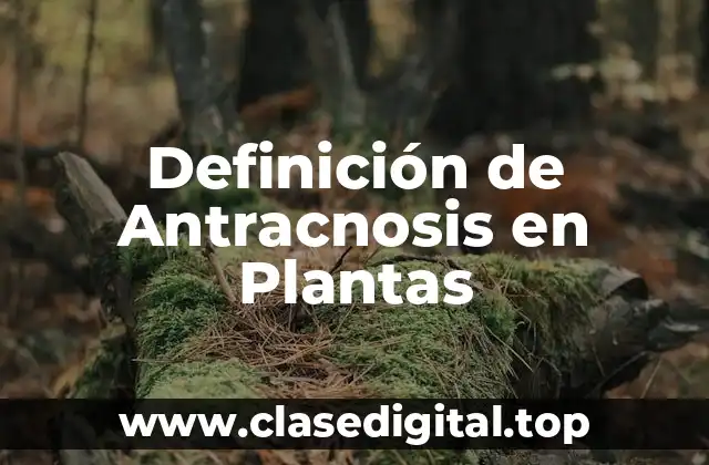 Definición técnica de Antracnosis en Plantas