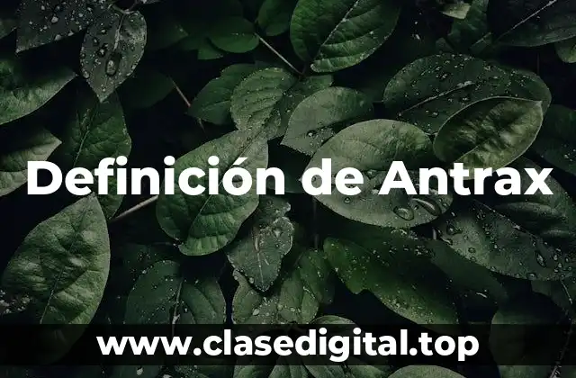 Definición de Antrax