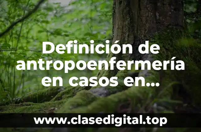 Definición de antropoenfermería en casos en Slideshare