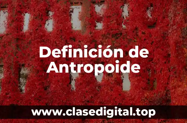 Definición técnica de Antropoide