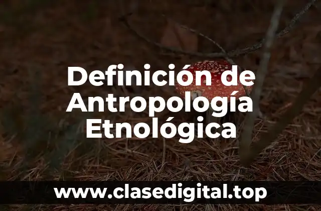Definición de Antropología Etnológica