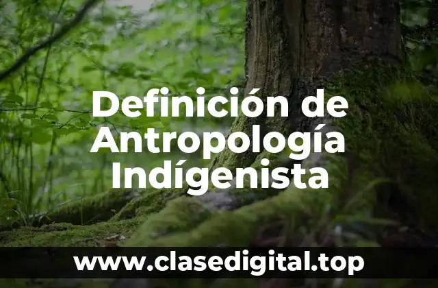 Definición de Antropología Indígenista