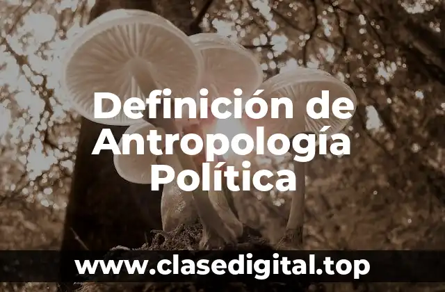 Definición de Antropología Política