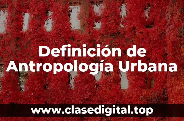 Definición de Antropología Urbana
