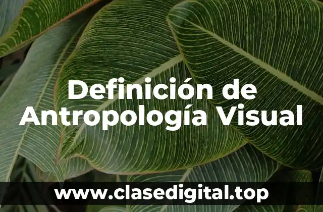 Definición de Antropología Visual