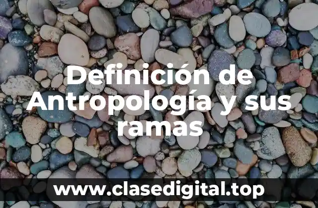 Definición de Antropología y sus ramas