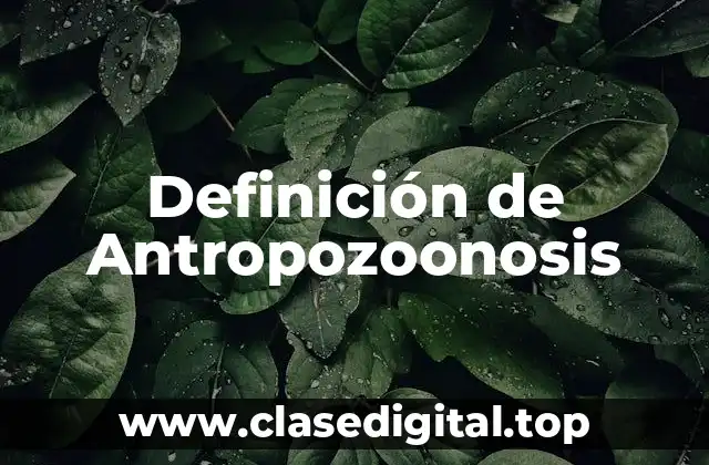 Definición de Antropozoonosis