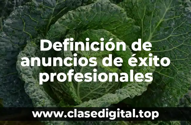 Definición de anuncios de éxito profesionales