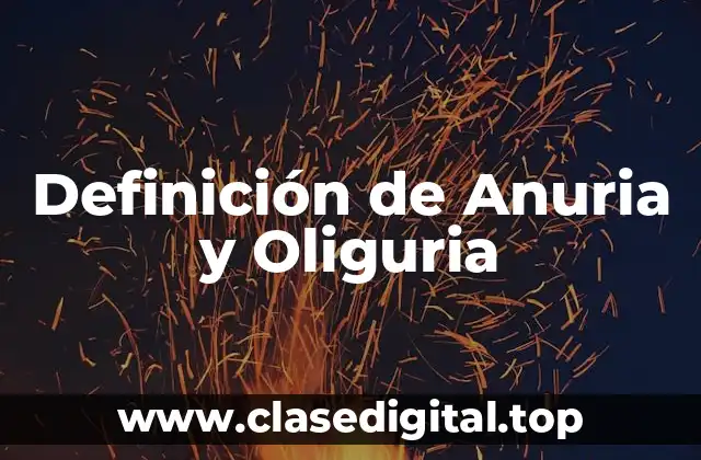 Definición técnica de Anuria