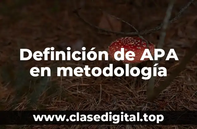 Definición de APA en metodología