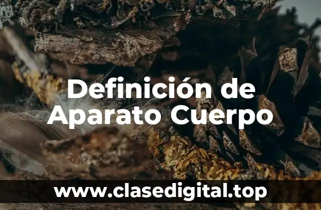 Definición de Aparato Cuerpo