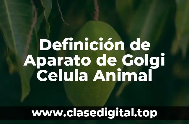 Definición de Aparato de Golgi Celula Animal