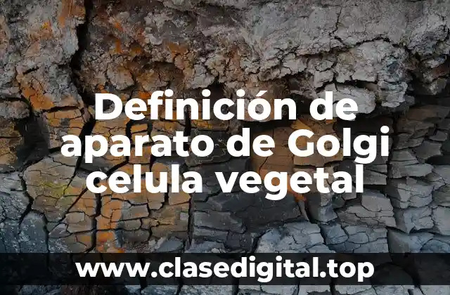 Definición de aparato de Golgi celula vegetal