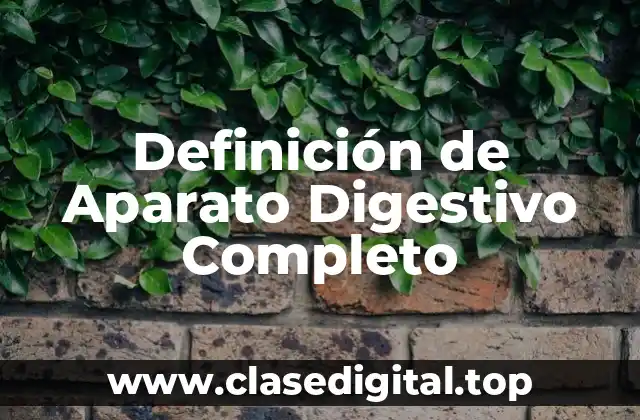 Definición de Aparato Digestivo Completo