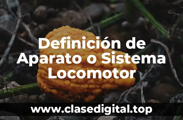 Definición de Aparato o Sistema Locomotor