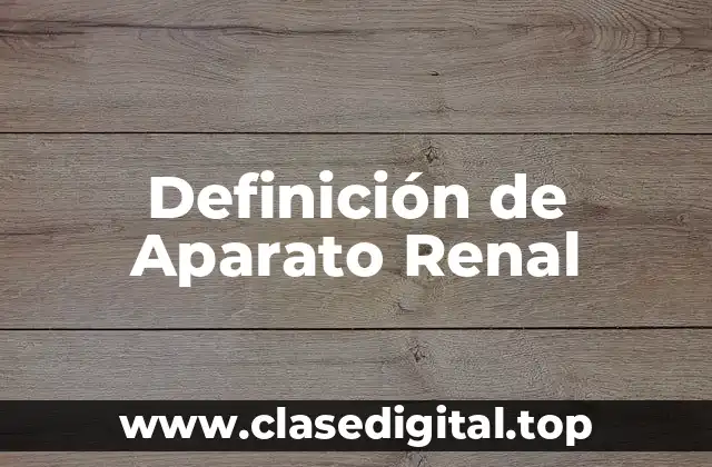 Definición de Aparato Renal