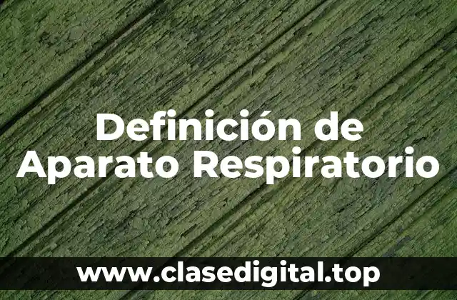 Definición de Aparato Respiratorio