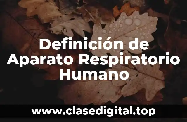 Definición de Aparato Respiratorio Humano