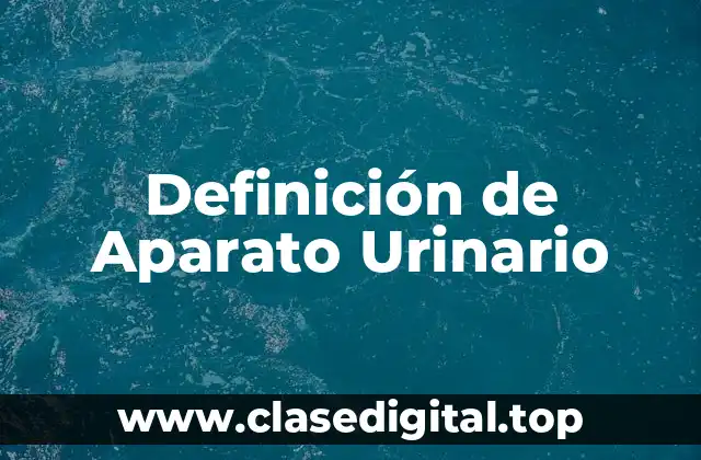 Definición de Aparato Urinario