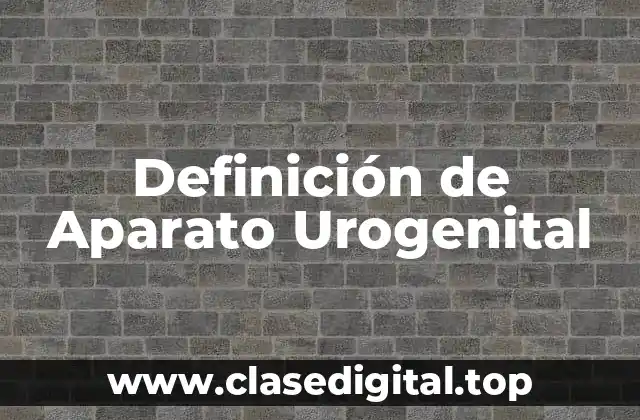 Definición técnica de Aparato Urogenital