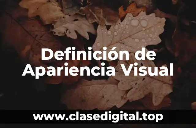 Definición de Apariencia Visual