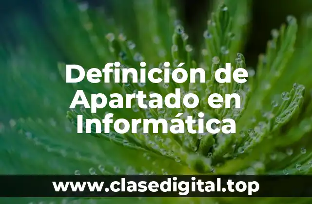 Definición de Apartado en Informática