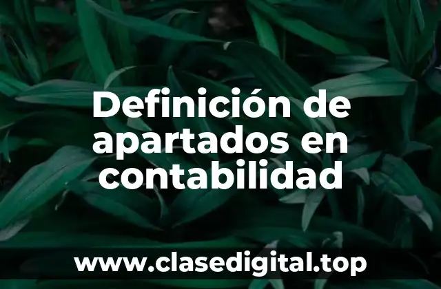 Definición de apartados en contabilidad