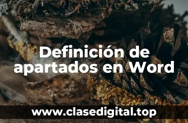 Definición técnica de apartados en Word