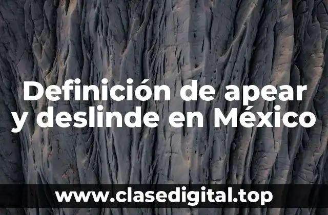 Definición de apear y deslinde en México