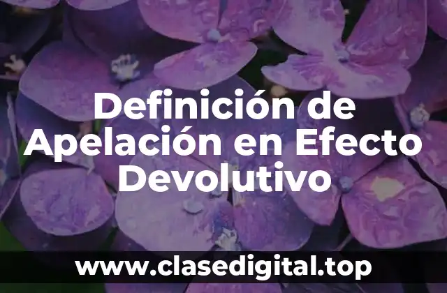 Definición de Apelación en Efecto Devolutivo