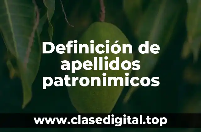 Definición de apellidos patronimicos