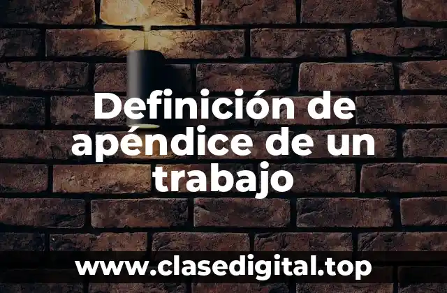 Definición de apéndice de un trabajo