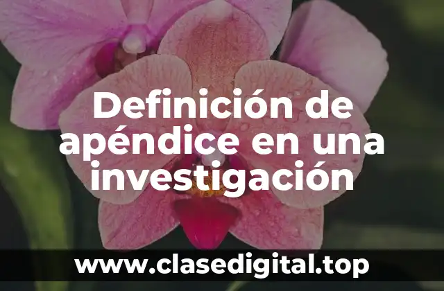 Definición de apéndice en una investigación