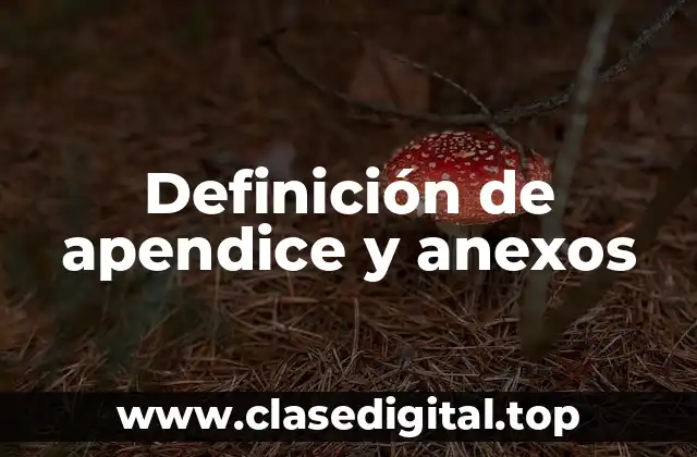 Definición de apendice y anexos
