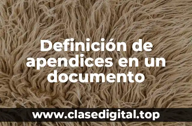 Definición de apendices en un documento