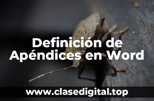 Definición de Apéndices en Word