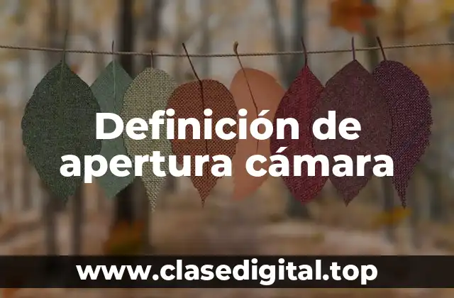 Definición de apertura cámara