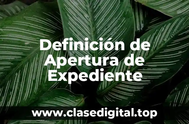 Definición de Apertura de Expediente