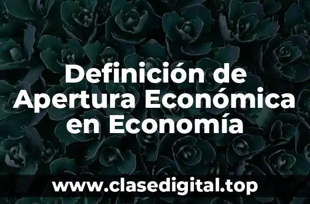 Definición de Apertura Económica en Economía
