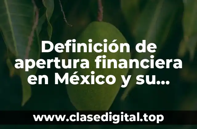 Definición de apertura financiera en México y su proceso