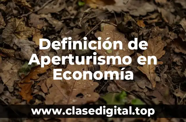 Definición de Aperturismo en Economía