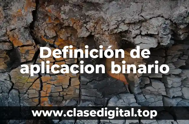 Definición de aplicacion binario